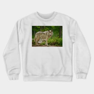 Grey Wolves Crewneck Sweatshirt